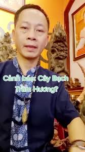 Cẩn thận bì lừa cây Bạch Trầm Hương. #xuhuong #trend #trầmkệ #trầmhương