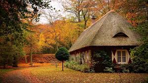 We did not find results for: Country Life Hd Wallpapers Free Download Wallpaperbetter