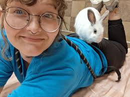 💙 Wow! A Home for MIMI. Or as she would shout: " A Home for me, ME!", 💜  Ms. MIMI is a chocolate Lab mix from a crowded Georgia shelter. As sweet