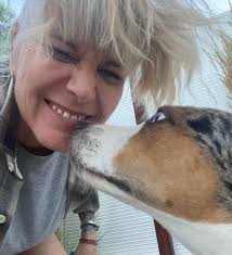 What kind of stimulation activities can I do for my deaf dog?