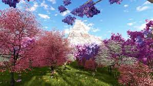 Spring Forest, Motion Graphics | VideoHive