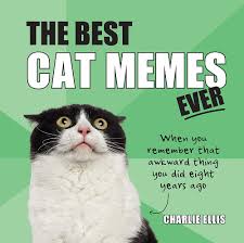 Funny cat memes for kids clean. The Best Cat Memes Ever The Funniest Relatable Memes As Told By Cats Ellis Charlie 9781786857842 Amazon Com Books
