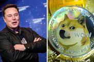 How long did it take to hit $100? Can Dogecoin Reach 100 Doge Traders Rally To New Highs Amid 13 000 Gains This Year City Business Finance Express Co Uk