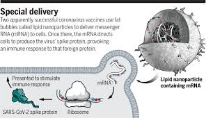 Several pharmaceutical companies have published their vaccine trial protocols. Public Needs To Prep For Vaccine Side Effects Science