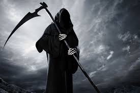 images?q=tbn%3AANd9GcQcgNHsv6Esnk6moV2KKvSVU3I7HilIXmua2w&usqp=CAU