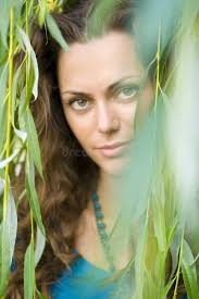 355 Curly Willow Tree Stock Photos