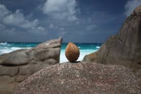 Made in the usa from coconut oil and sustainable palm kernel oil and comprising almost 100% caprylic acid, this mct oil is also. Mct Oil Biohacking Ketontrack