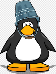 The only good penguin memes are no anime penguin memes ok then 05 kowalski, analysis ホ爪. Club Penguin Party Hat Bucket Animals Hat Fashion Png Pngwing