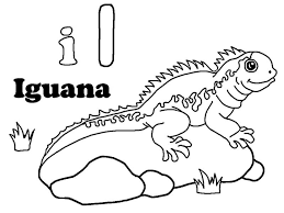Download and print these free coloring pages. Iguana Sunbathing On A Rock Coloring Page Download Print Coloring Home