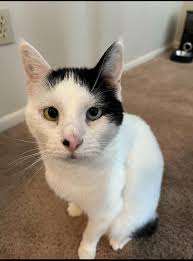 Who has the cutest butt? Miss Bean has the cutest butt!