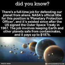 Pin By Trilby Conrad On Dream Job Wtf Fun Facts Weird Facts Fun Facts