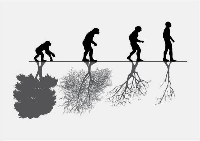 Resultado de imagem para imagem de relaÃ§Ã£o homem natureza