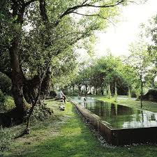 El Croquis 131 132 Oma Rem Koolhaas 1 Construccion De Piscinas Paisajismo Piscinas