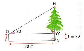 Bonjour Pouver Vous M Aider Pour Mesurer La Hauteur D Un Arbre On Utilise Un Instrument De Visee Nosdevoirs Fr