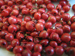 Image result for Schinus molle