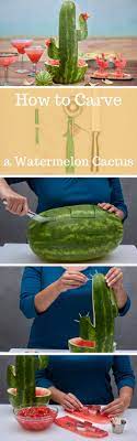 Turn each quartered piece horizontal and slice into 1 strips to create triangles. How To Carve A Watermelon Cactus Centerpiece And Salsa Bowl For Cinco De Mayo Parties Mexican Party Theme Mexican Party Cactus Party