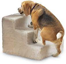 Your dog should stay in the same place so he won't fall off the table. Amazon Com Home X Doggy Steps Pet Stairs Pet Supplies Dog Stairs Pet Stairs Dog Steps