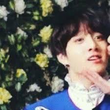 Karina Jacobo (jacobokarina281)