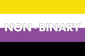 Gender Identities Explained Everything You Need To Know Pride Flags Gender Identity Lgbtq Flags