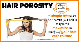 Hair Porosity