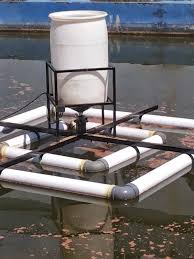 Automatic Feeder : Solusi memberi makan ...