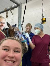externship #veterinarystudent #team #veterinarymedicine