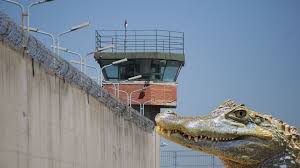 Así es Alligator Alcatraz, la nueva ...