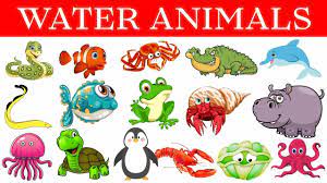 Water Animals Names In English And Hindi Ocean Animals Sea Creatures In 2021 Animals Name In English Water Animals Sea Animals