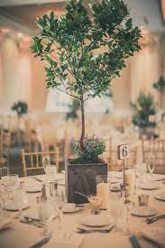 Citrus Tree Wedding Centerpiece In Concrete Pot We Didn T Want Traditional Flor Wedding Plants Centerpieces Tree Wedding Centerpieces Tree Centrepiece Wedding