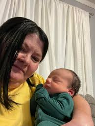 Seasonal pet photo editing app recommendations