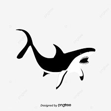 Gambar ikan hiu hitam putih saya pikir gambar hiu bervariasi. Gambar Hiu Clipart Bayi Hiu Hiu Hitam Dan Putih Png Transparan Clipart Dan File Psd Untuk Unduh Gratis