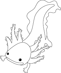 Learn about the connection between the amazing axolotl and aztec mythology! Axolotl Kids Coloring Page Great For Beginner Coloring Book 2373499 Vector Art At Vecteezy