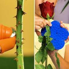 How to make beeswax candles at home wellness mama. Michael Kasslatter Michaelkasslatter Profil Pinterest