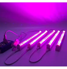 We did not find results for: 5pcs Lot Led Grow Light 660nm Red And 455nm Blue Led Lamp For Plants Input Voltage 85 265v