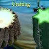 Your cactus cutting can take anything from a couple of days to one month or even more to develop roots. Https Encrypted Tbn0 Gstatic Com Images Q Tbn And9gctp1evfas1dmvzyc42hwpf56tawmvo44skugsizcy4 Usqp Cau