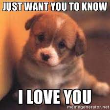 I Love You Memes For Him And Her Love You Meme Cheer Up Pictures Puppies Funny
