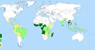 Map Of Coffee Bean Production R For C Robusta A For C Arabica And M For Both Species Community Coffee Coffee Varieties Types Of Coffee Beans