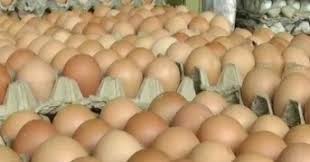 Harga telur ini dihimpun dari beberapa peternak dan komunitas peternak ayam yang tersebar di beberapa daerah di indonesia. Info Terbaru Harga Telur Hari Ini Ilmu Ternak