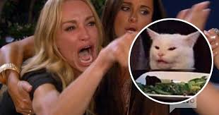 100 incredible memes that went viral and defined the 2010s. Best Woman Yelling At Cat Memes 28 Of The Funniest Examples Ever