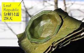 德國的leaf republic則以環保角度出發 發明了可生物降解的葉製餐具 用棕櫚葉的纖維把葉子縫合為一大幅原材料 再將大葉片壓成碟形 因為整個設計均 用天然的葉製作 因此即使即用即棄 也能在一個