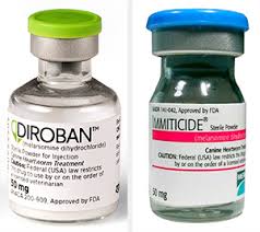 We did not find results for: Marketer Of Generic Heartworm Drug For Dogs Promises Stable Supply News Vin