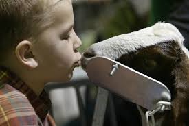 In the market for Farm Show