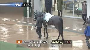 1999年 京王杯スプリングカップ（gii） 1998年 有馬記念（gi） 1997年 京成杯3歳ステークス（giii） 1997年 朝日杯3歳ステークス（gi） #グラスワンダー. Fwn6rhzd4aj7wm