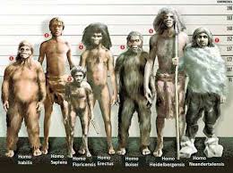 La scomparsa dell'uomo di neanderthal. Homo Sapiens In Europa Oltre 45 000 Anni Fa E Incontro Gli Uomini Di Neanderthal Documentazione Archeomatica