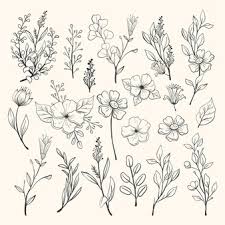 Repetition floral seamless background, floral decor backdrop, floral vector ornament illustration, and discover more than 13 million professional graphic resources on freepik Free Vector Engraving Hand Drawn Flower Collection