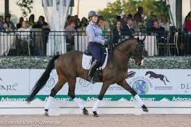 Top ranked dressage rider in the world gives a schooling demonstration with three horses 5yrold part 1 Improving Potential With Uncomplicated Training Masterclass With Isabell Werth Ps Dressage