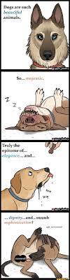 Dogs Are Such Beautiful Animals Funny Animal Jokes Funny Animal Comics Funny Animal Memes