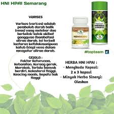 Resepherba Varises Mengkudu Mengkuduhpai Hniprodukhalal Hnihpai Hnihpaisemarang Hpaisemarang Dchnisemarang Letsjoinus Our Obat Alami Herba Kesehatan