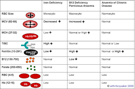 Pin On Fnp Exam Prep