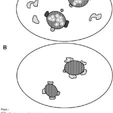 We did not find results for: Pdf The Dynamics Of The Nucleolus